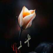 ヒメ日記 2025/06/29 22:50 投稿 久保芽衣 五十路マダム　広島店