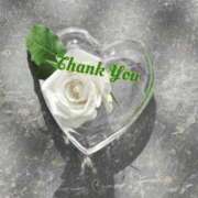 ヒメ日記 2025/07/04 18:00 投稿 久保芽衣 五十路マダム　広島店