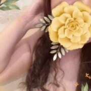 ヒメ日記 2025/11/13 12:12 投稿 久保芽衣 五十路マダム　広島店