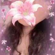 ヒメ日記 2025/11/20 12:34 投稿 久保芽衣 五十路マダム　広島店