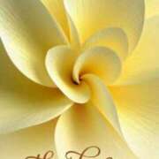 ヒメ日記 2026/04/20 19:04 投稿 久保芽衣 五十路マダム　広島店