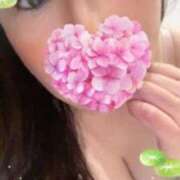 ヒメ日記 2026/06/14 12:30 投稿 久保芽衣 五十路マダム　広島店