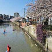 ヒメ日記 2025/04/12 09:00 投稿 れいこ ピンクハウス（横浜）