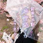 ヒメ日記 2026/03/30 02:40 投稿 ほしの メイドde本舗