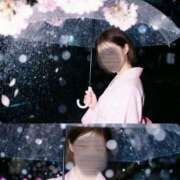 ヒメ日記 2026/03/31 00:43 投稿 ほしの メイドde本舗