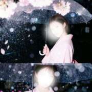 ヒメ日記 2026/04/05 23:27 投稿 ほしの メイドde本舗