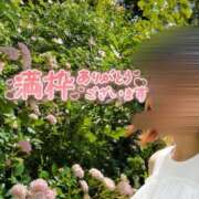 ヒメ日記 2026/05/19 01:43 投稿 ほしの メイドde本舗