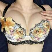 ヒメ日記 2025/01/13 09:07 投稿 青山ありす バルボラ マリン