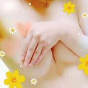 ヒメ日記 2025/07/01 22:36 投稿 ともか奥様 金沢の20代30代40代50代が集う人妻倶楽部