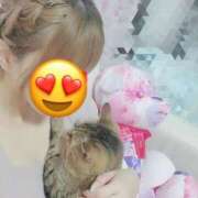 ヒメ日記 2024/12/09 09:06 投稿 ろあ現役保育士現在金髪！ 俺のジュニア