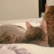 ヒメ日記 2025/09/28 13:16 投稿 ろあ現役保育士現在金髪！ 俺のジュニア