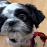 ヒメ日記 2026/01/20 10:23 投稿 ゆうり THE ESUTE 五反田店