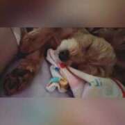 ヒメ日記 2026/02/03 09:58 投稿 ゆうり THE ESUTE 五反田店