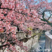 ヒメ日記 2025/02/14 12:39 投稿 みそら 奥鉄オクテツ神奈川店（デリヘル市場グループ）