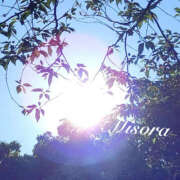 ヒメ日記 2025/04/29 09:27 投稿 みそら 奥鉄オクテツ神奈川店（デリヘル市場グループ）