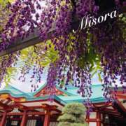 ヒメ日記 2025/05/01 11:02 投稿 みそら 奥鉄オクテツ神奈川店（デリヘル市場グループ）