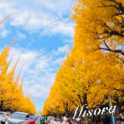 ヒメ日記 2025/11/19 12:32 投稿 みそら 奥鉄オクテツ神奈川店（デリヘル市場グループ）