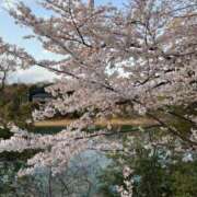 ヒメ日記 2025/04/06 19:56 投稿 松本 紗也加 こあくまな熟女たち三河店（KOAKUMAグループ）