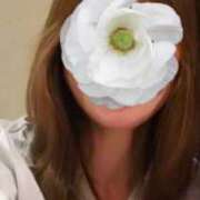 ヒメ日記 2025/08/25 21:51 投稿 松本 紗也加 こあくまな熟女たち三河店（KOAKUMAグループ）