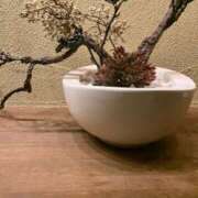 ヒメ日記 2025/09/04 09:22 投稿 松本 紗也加 こあくまな熟女たち三河店（KOAKUMAグループ）