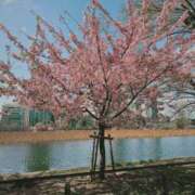 ヒメ日記 2025/03/11 20:18 投稿 つむぎ 全裸の女神orいたずら痴漢電車