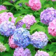 ヒメ日記 2025/06/12 20:48 投稿 つむぎ 全裸の女神orいたずら痴漢電車