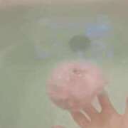 ヒメ日記 2025/05/30 11:46 投稿 ひなた抜群のルックス＆プロポ 俺のジュニア