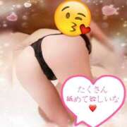 ヒメ日記 2024/12/28 00:36 投稿 マナスレンダー美女 俺のジュニア