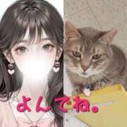 ヒメ日記 2024/12/22 15:26 投稿 みらいエロキレ奥様 俺のジュニア