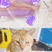 ヒメ日記 2025/01/19 11:57 投稿 みらいエロキレ奥様 俺のジュニア