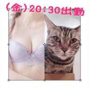 ヒメ日記 2025/02/27 21:07 投稿 みらいエロキレ奥様 俺のジュニア