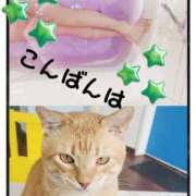 ヒメ日記 2025/03/07 20:16 投稿 みらいエロキレ奥様 俺のジュニア