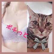 ヒメ日記 2025/03/08 11:51 投稿 みらいエロキレ奥様 俺のジュニア