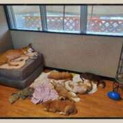 ヒメ日記 2025/03/26 22:16 投稿 みらいエロキレ奥様 俺のジュニア