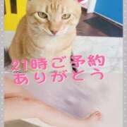 ヒメ日記 2025/03/29 18:49 投稿 みらいエロキレ奥様 俺のジュニア