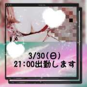 ヒメ日記 2025/03/30 11:46 投稿 みらいエロキレ奥様 俺のジュニア