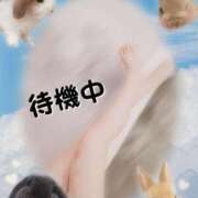 ヒメ日記 2025/03/31 00:04 投稿 みらいエロキレ奥様 俺のジュニア