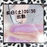 ヒメ日記 2025/04/05 06:56 投稿 みらいエロキレ奥様 俺のジュニア