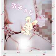 ヒメ日記 2025/05/09 16:06 投稿 みらいエロキレ奥様 俺のジュニア