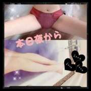 ヒメ日記 2025/05/17 02:48 投稿 みらいエロキレ奥様 俺のジュニア