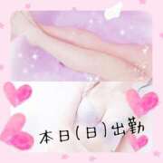 ヒメ日記 2025/06/08 01:24 投稿 みらいエロキレ奥様 俺のジュニア