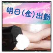 ヒメ日記 2025/07/17 17:59 投稿 みらいエロキレ奥様 俺のジュニア