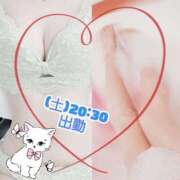 ヒメ日記 2025/08/09 01:24 投稿 みらいエロキレ奥様 俺のジュニア