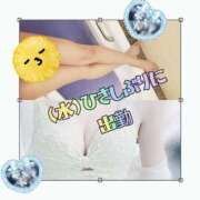 ヒメ日記 2025/08/19 02:06 投稿 みらいエロキレ奥様 俺のジュニア