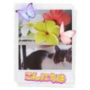 ヒメ日記 2025/08/20 13:19 投稿 みらいエロキレ奥様 俺のジュニア