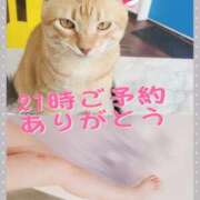 ヒメ日記 2025/08/20 23:47 投稿 みらいエロキレ奥様 俺のジュニア