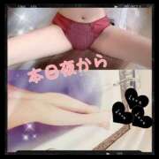 ヒメ日記 2025/08/23 15:40 投稿 みらいエロキレ奥様 俺のジュニア