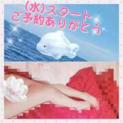 ヒメ日記 2025/09/03 00:46 投稿 みらいエロキレ奥様 俺のジュニア