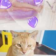 ヒメ日記 2025/09/07 16:56 投稿 みらいエロキレ奥様 俺のジュニア