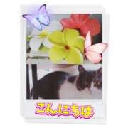 ヒメ日記 2025/09/20 13:26 投稿 みらいエロキレ奥様 俺のジュニア